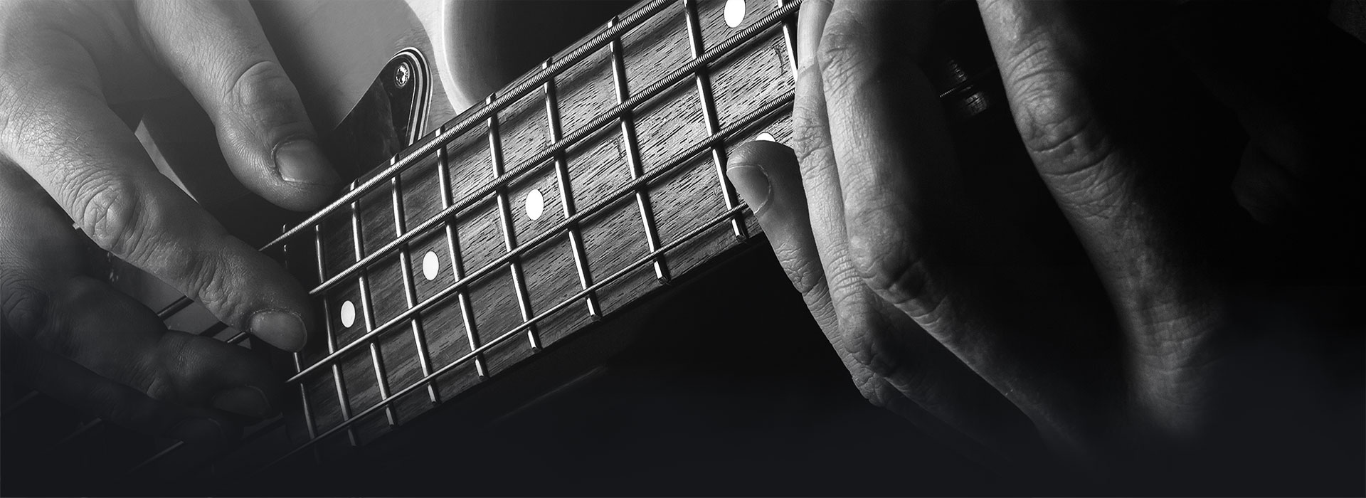 Sadowsky : committed to building better electric basses